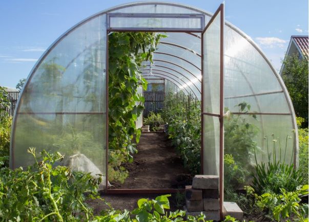 Greenhouses and polytunnels